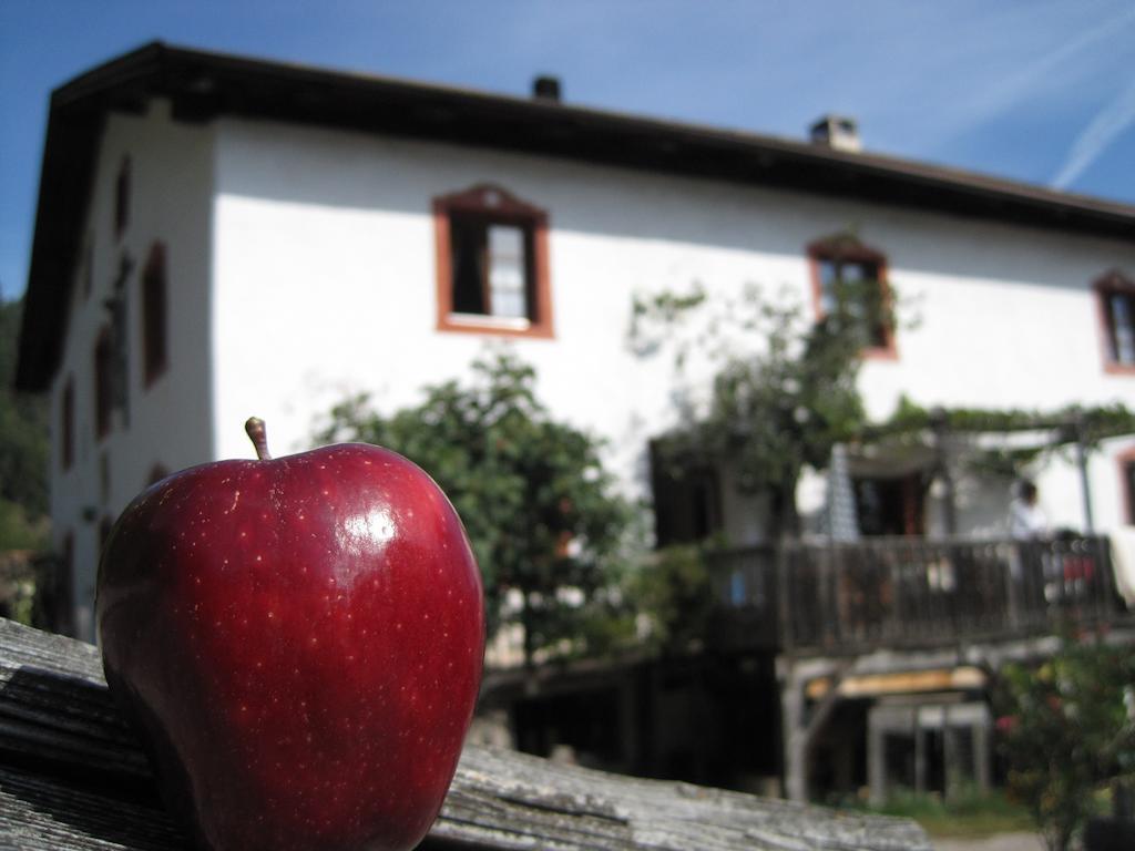 Gruberhof Villa San Genesio Atesino Eksteriør bilde