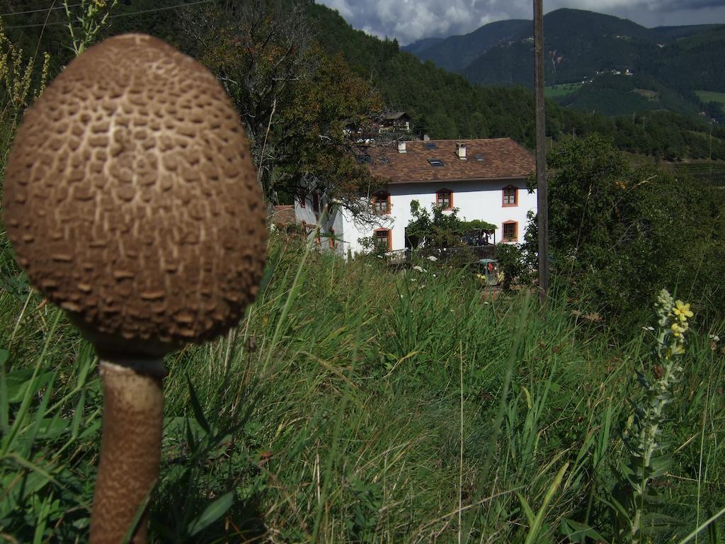 Gruberhof Villa San Genesio Atesino Eksteriør bilde